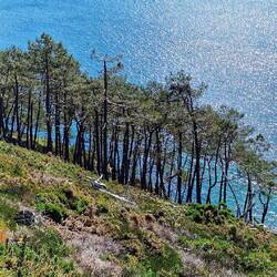 Cap de la Chèvre