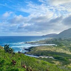 Hier hat uns die Sonne wieder. Wirklich schön, die Ostküste