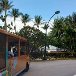 Enough walking already