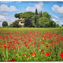 Aud der Fahrt nach Coole di Val d'Elsa