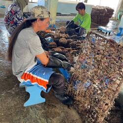 Removing for cleaning