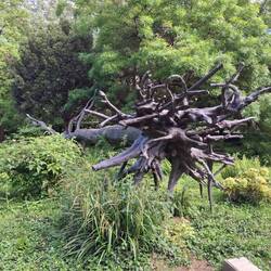 Back home we have real trees like this... not in bronze