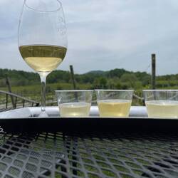 Three Foxes vineyard