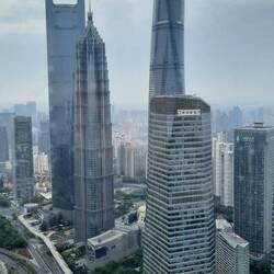 View from the Oriental Pearl Tower