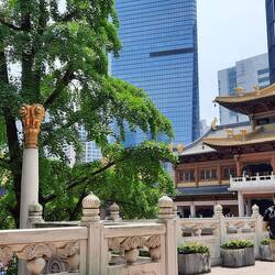 Fand diese Kombi so beeindruckend