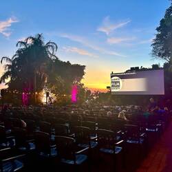 many fireflies were on the move