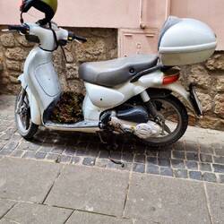 Hier wird Salat transportiert