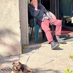 Alle geniessen die,Sonne