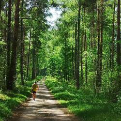 m Ufer der Seen sind schöne Wege