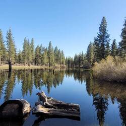 Stayed next to a quite lake where we got frog concerts every night