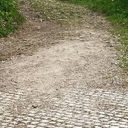 Rüttelstrecke