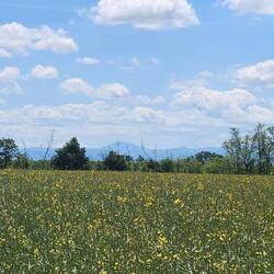 Mountains in the distance, but no snow