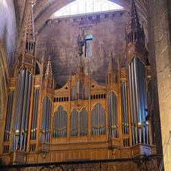 Another huge organ