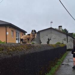 On guard