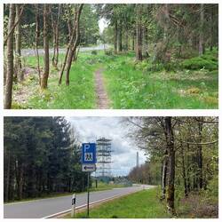 Entlang der Höhenstraße zur Air-Station-Prüm