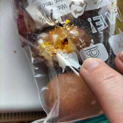 Eine Krähe hat uns das Frühstück fast stibitzt