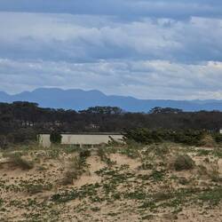 Pyrenees in the distance
