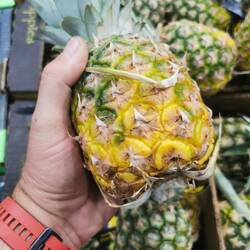 Was da wohlbübrig bleibt, wenn man sie schält? Ich werde es nicht probieren