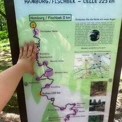Trailhead touched ✔️
