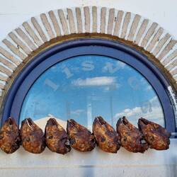 Dieser Wirt wollte zeigen wieviel Lämmer schon verputzt wurden....