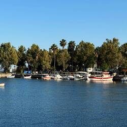 Suchbild mit Dusty - wer findet Ihn?