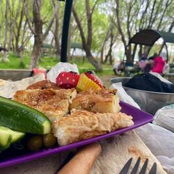 Geschenke von den Picknick machenden Türken