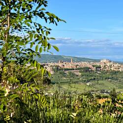 Blick auf Orvieto