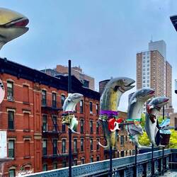 Die New York Sharks - let's play the music.