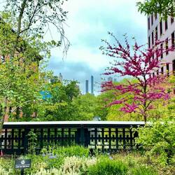 So viel Farbe mitten in der Stadt