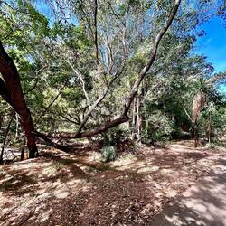 I could just ride my bike all day