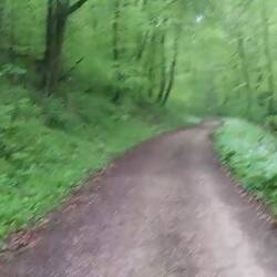 Schönecker Schweiz - Bärlauchgerucht dazu denken!