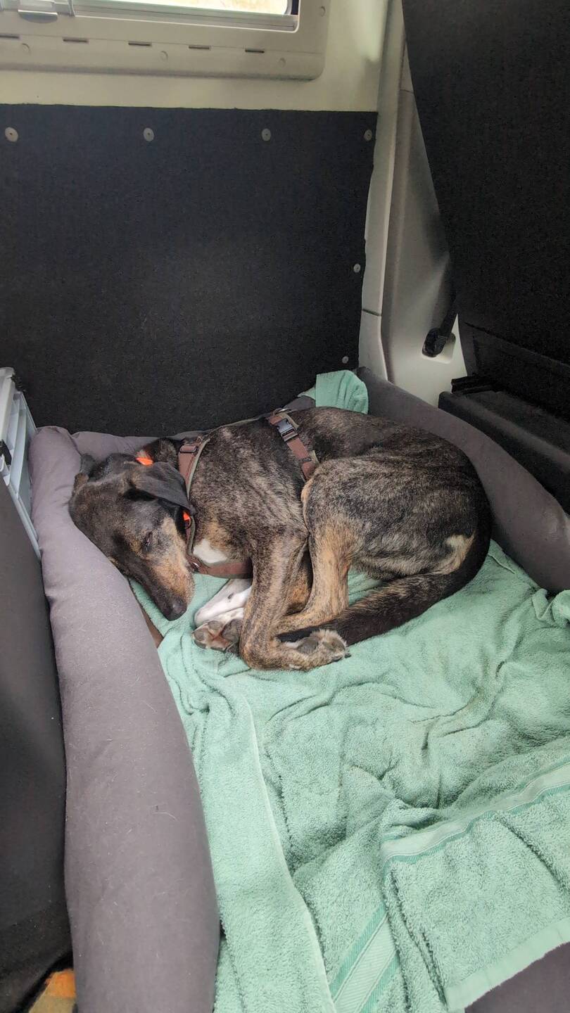 Ein bisschen k.o. ist der Herr wohl doch auch. 😉