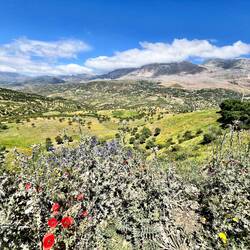 Könnte auch in Süd Tirol sein
