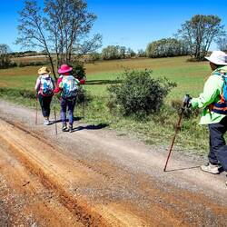 "Super Grannies" from Taiwon hiking the Camino! Age ain't nothin' but a number!