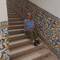 The staircase up to the Palace
