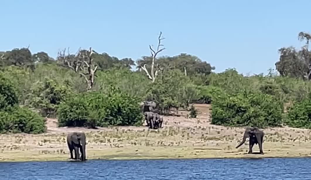 Look what came to greet us