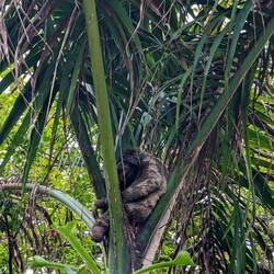 Erstmal ein ausgiebiges Nickerchen abhalten 😊