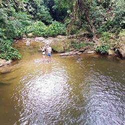 Erstes Camp mit Natural Pool 😎 im Wasser waren diese kleinen Hornhautknabberfische 😂