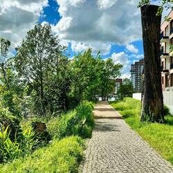 Luxus Penthäuser mit Havelblick