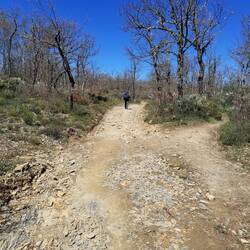 A preview of tomorrow 😳