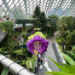 Man beachte das Brautpaar