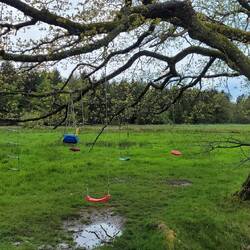 vier Kinderschaukeln an einem Baum 😊