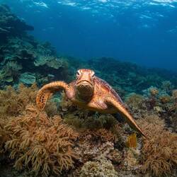 geradewegs entdeckt... oder ertappt?.....