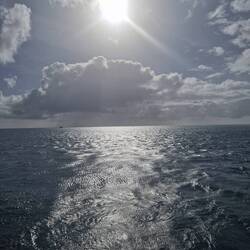 wir hatten so Wetterglück... da es momentan viel regnet
