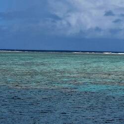 4x pro Tag über 30 minuten Schnorcheln