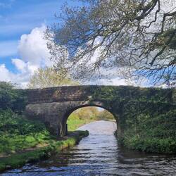 Beautiful stone bridge