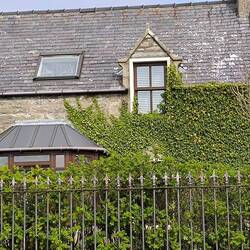 Könnte bei Inspektor Barneby sein