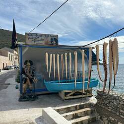 Das Mittagessen für Morgen 😊