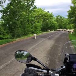 Erinnerungen an Griechenland werden wach...