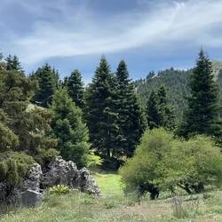 während der Mittagspause